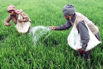 Melebihi Industri Penerbangan, Pupuk Menyumbang 5 Persen Emisi Karbon