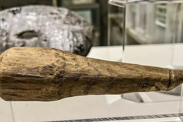 Diukir dari kayu, lingga itu sekarang dipajang di museum Vindolanda di Inggris.