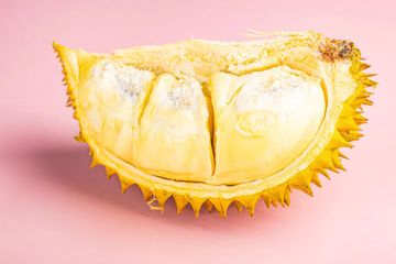 Ilustrasi durian