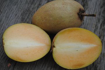 Pantas Bikin Sehat, Buah Sawo Ternyata Punya Efek Ini di Tubuh Kalau Dikonsumsi