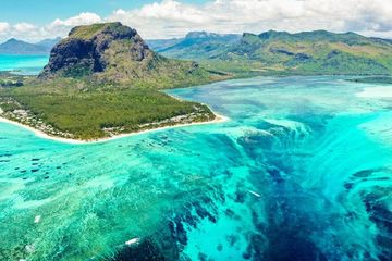 Para ilmuwan mempelajari ekosistem di pulai kecil Mauritius. Mereka menunjukkan bahwa spesies yang punah tidak dapat digantikan.