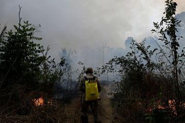 Penduduk Asli Lembah Amazon Lebih Mungkin Mati karena Kebakaran Hutan