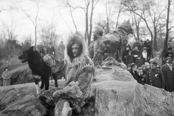 Balto adalah sejarah anjing kereta luncur yang membantu menyelamatkan masyarakat Alaska dari wabah difteri.