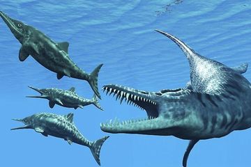 Pliosaurus, Monster Laut Zaman Jura Berukuran Dua Kali Paus Pembunuh
