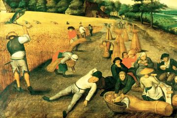 Dalam sejarah Abad Pertengahan, sekitar 85% orang berprofesi sebagai petani. 