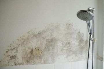 Cara Mencegah Jamur Tumbuh di Kamar Mandi, Gak Bakal Tampak Ada Noda Hitam Lagi