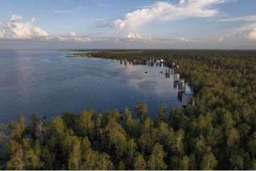 Riset Bersama BRIN dan YKAN untuk Restorasi Gambut di Kalimantan Barat