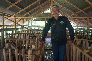 Abdullah, ketua Kelompok Tani Hutan (KTH) Alam Pusaka Jaya Desa Pinggir.