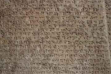 Sejarah Manusia: Apa Bahasa Tertua yang Saat Ini Masih Digunakan?