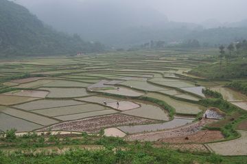 Sawah basah kuno temuan prasejarah kekaisaran Tiongkok