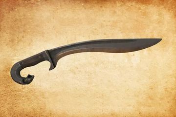 Pedang Falcata memiliki bilah melengkung yang tebal memberikan kekuatan dan efektivitas dalam pertempuran jarak dekat.