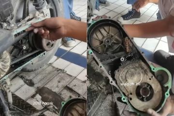Motor seorang wanita jadi sarang tawon lantaran sudah 6 tahun belum diservice.