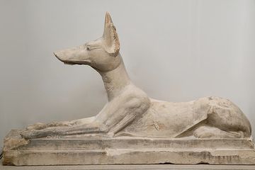 Anubis, dewa kematian berkepala anjing atau serigala di sejarah Mesir kuno.