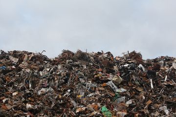 Kumpulan Quotes Peringati Hari Peduli Sampah Nasional, Rayakan Kesadaran Lingkungan untuk Masa Depan Anak Cucu
