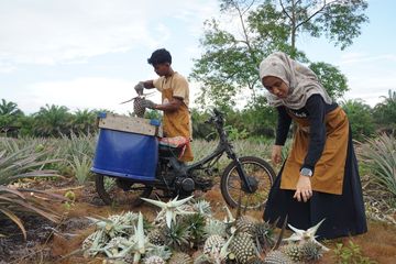 Anomali Coffee dan Pinaloka meluncurkan lima menu kolaborasi dari nanas mahkota Siak. Bukti nyata usaha menjaga kelestarian alam melalui produk lestari.