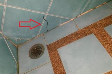 Cara Mengatasi Cacing yang Muncul Di Sela-sela Lantai Kamar Mandi, Lenyap Selamanya Kalau Ditabur 1 Bahan Dapur Ini