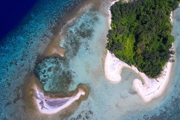 Ancaman Keindahan Pesisir Karimunjawa Muncul dari Tambak Udang