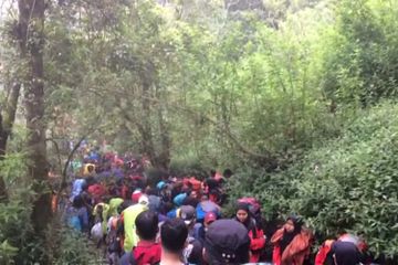 Kepadatan pendaki di Gunung Merbabu. Satu bungkus sampah ternyata bisa merusak ekosistem yang rapuh. Temukan fakta mengejutkan tentang dampak sampah terhadap lingkungan di tempat wisata.