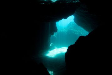 Oksigen Gelap Terungkap di Laut Dalam, Masa Depan Bumi Terancam?