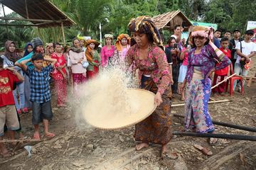 Mengapa Indonesia Tergantung pada Beras dan Mengapa Ini Berbahaya?