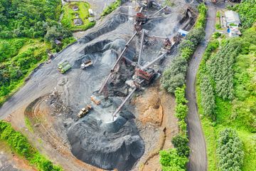 Apa Dampaknya jika 20 Juta Hektare Hutan Indonesia Ditebang?