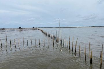 Pagar laut du Tangeran, Banten.