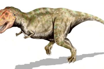 Mitos tentang dinosaurus