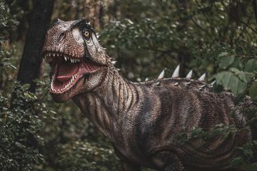 Ilustrasi. Dinosaurus non-avian telah punah selama 66 juta tahun, tetapi apa yang akan terjadi jika mereka bertahan hidup?