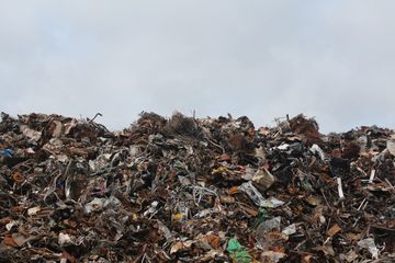 Rapper Amerika Bicara Fakta, Ini Bukti Indonesia Jadi 'Tong Sampah' Negara-Negara Maju
