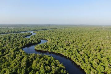 Kemitraan dan Pendanaan Berkelanjutan: Kunci Sinergi Konservasi dalam Mangrove Breakthrough