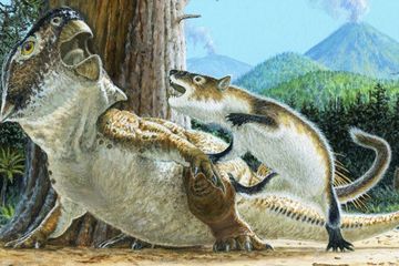 Dinosaurus vs Mamalia: Fosil Ini Mengungkap Pertarungan Prasejarah