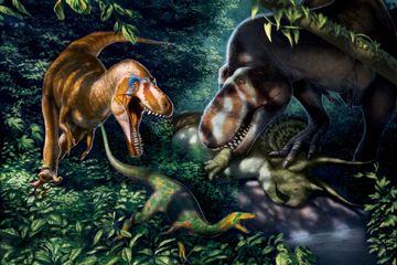 Picu Kontroversi Selama Tiga Dekade, Siapa Sebenarnya Raja Dinosaurus Muda Ini?