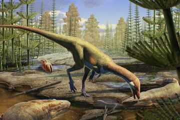 Ahvaytum bahndooiveche, Bukti Dinosaurus Awal di Belahan Bumi Utara