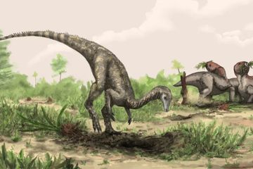 Benarkah Rahasia Dinosaurus Pertama Justru Terletak di Dekat Garis Khatulistiwa?
