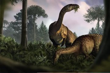 Merekonstruksi jaringan makanan prasejarah menawarkan wawasan baru tentang kebangkitan dinosaurus menuju dominasi global.
