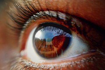 Sel Baru Ditemukan di Retina, Benarkah Mampu Pulihkan Penglihatan?