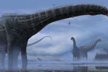 Ilustrasi dinosaurus. Jelajahi 10 fakta luar biasa tentang dinosaurus yang akan mengubah cara Anda memandang makhluk prasejarah ini.