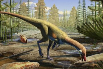 Ahvaytum bahndooiveche berukuran sebesar ayam. Namun, kemungkinan besar adalah nenek moyang dinosaurus sauropoda raksasa.