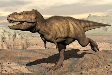 Bagaimana Dinosaurus T. rex Mencari Makan, dengan Berburu atau Mengais Bangkai?