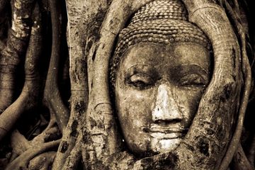 Perjalanan Hidup Siddhartha Gautama: Bagaimana Seorang Pangeran Menjadi Buddha?
