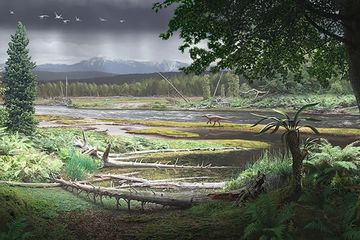 Rekonstruksi Habitat Dinosaurus Antarktika 120 Juta Tahun Lalu