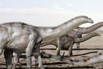 Mengapa Nama Brontosaurus Dilenyapkan Ratusan Tahun Tapi Kemudian Digunakan Lagi?