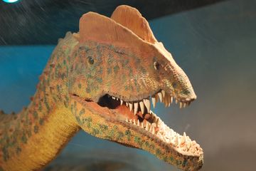 Dilophosaurus, Dinosaurus Ikonik yang Salah Diidentifikasi Gara-Gara ''Jurassic Park'