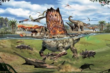 Penyakit Apa yang Membunuh Dinosaurus? Benarkah Mereka Idap Kanker?