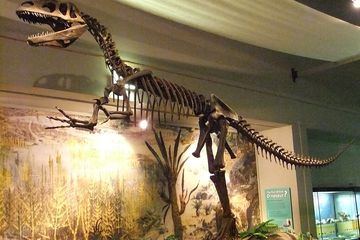 Megalosaurus: Kisah Dinosaurus Pertama yang Mengubah Dunia Sains untuk Selamanya