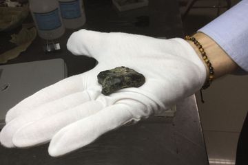 Homo Erectus dari Sundaland Berusia 140 Ribu Tahun Ditemukan di Dasar Laut Selat Madura
