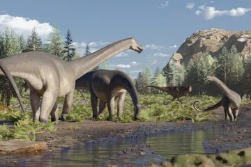 Fosil Dinosaurus Sidersaura marae Penanda Akhir Era Sauropoda Besar