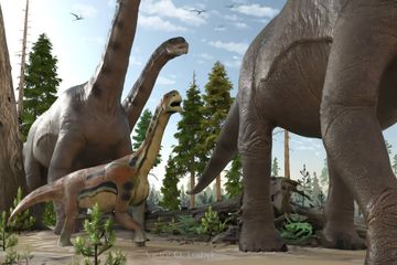 Kepunahan Dinosaurus Mengubah Hutan dan Evolusi Biji selama Jutaan Tahun