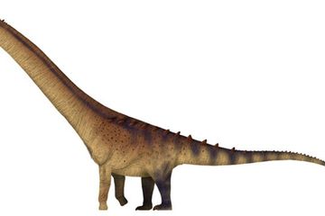 Mengapa dinosaurus begitu besar