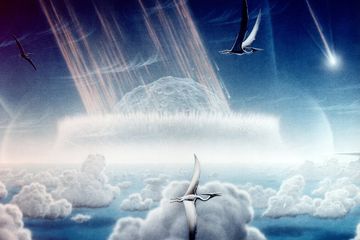 Studi Ungkap Dampak Asteroid Chicxulub Tidak Begitu Mematikan bagi Dinosaurus